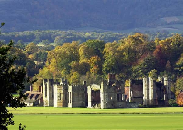 Some of the tree houses would have a view of the Cowdray Ruins