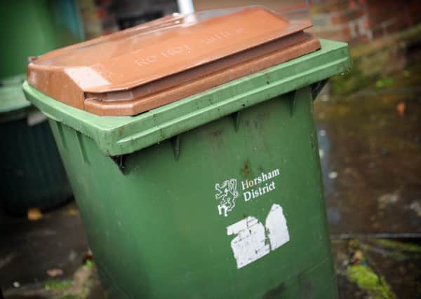 JPCT 20-11-12 S12460521X Horsham Brown green waste recycle bin -photo by Steve Cobb ENGSUS00120121120150025