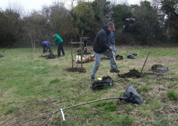 The Conservation Volunteers (TCV) project elsewhere in the country