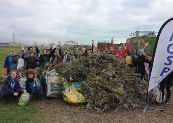 Volunteering with the Friends of Shoreham Beach, helping to clean the beach of invasive species and litter