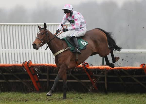 Two Swallows and Nico de Boinville on their way to victory at Towcester last season