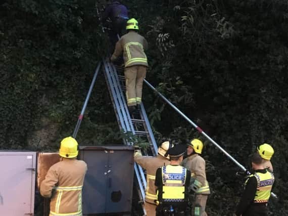A man being rescued from a tree beside the railway line (Photograph: Network Rail South East)