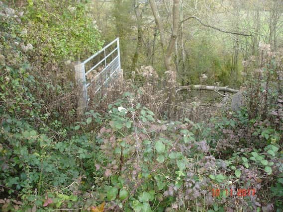 'Neglect' on Bepton Down