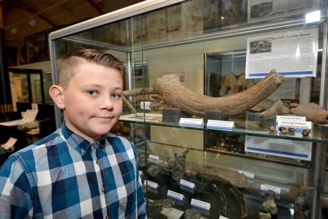 Archie Wood donates a  20,000 year old Bos Bison tusk, which he found on a Bexhill Beach, to Bexhill Museum.

Archie Wood is pictured with the tusk. SUS-171115-114538001