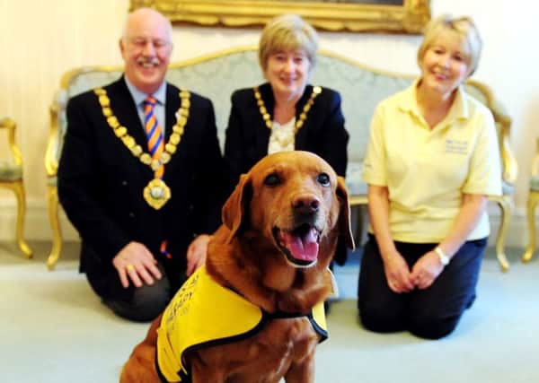 Evie the Labrador and her owner Alexandra Hughes meeting The Mayor and  Mayoress of Chichester, Peter and Margaret Evans. Photo Kate Shemilt ks171456-1