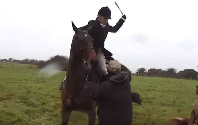 A still from the footage taken with permission from Brighton Hunt Saboteurs