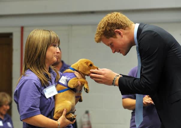 Prince Harry meets Veyron and handler Janice Norgate in 2010
